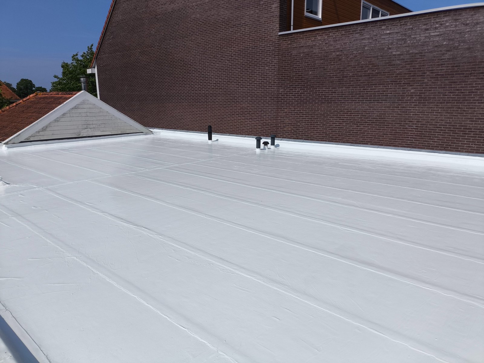witte coating
