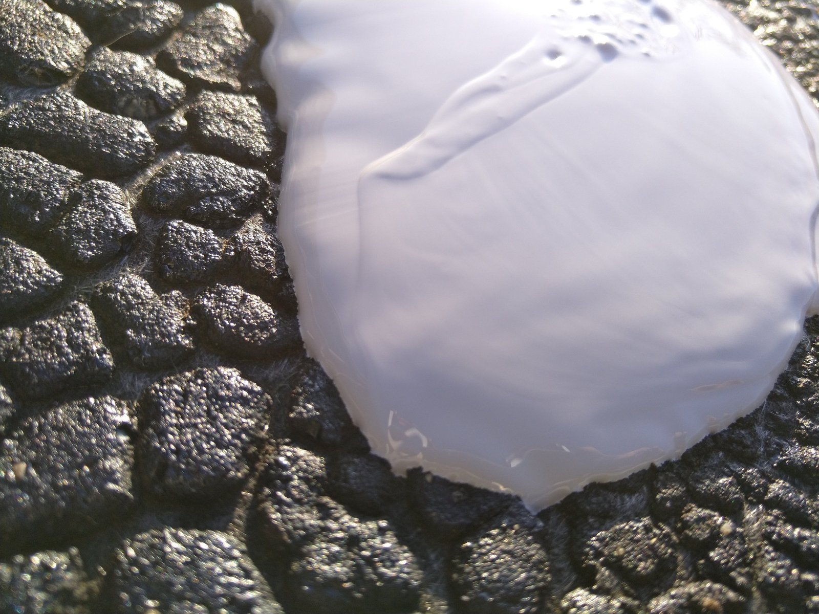 Witte coating aangebracht op bestaande bitumen dakbedekking